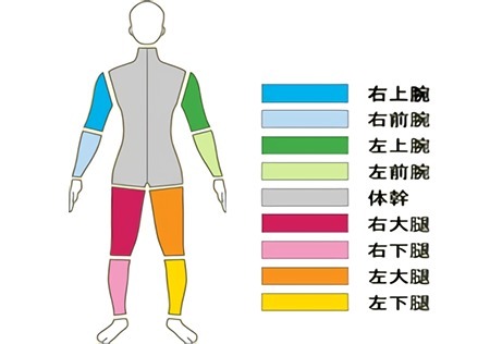 体組成計測定を使ってみよう!